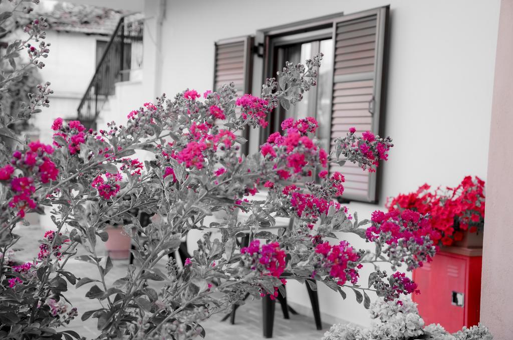 Apartmán Nefeli Levídhion Exteriér fotografie